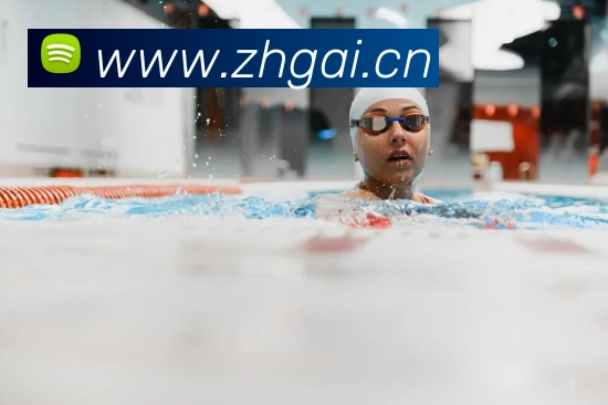 爱游戏ayx官方登录入口发展历程